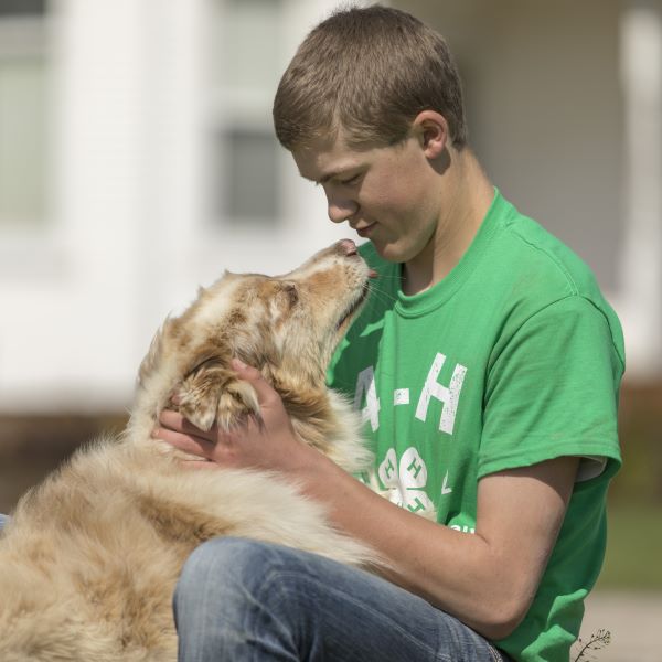 Dog Show Participant