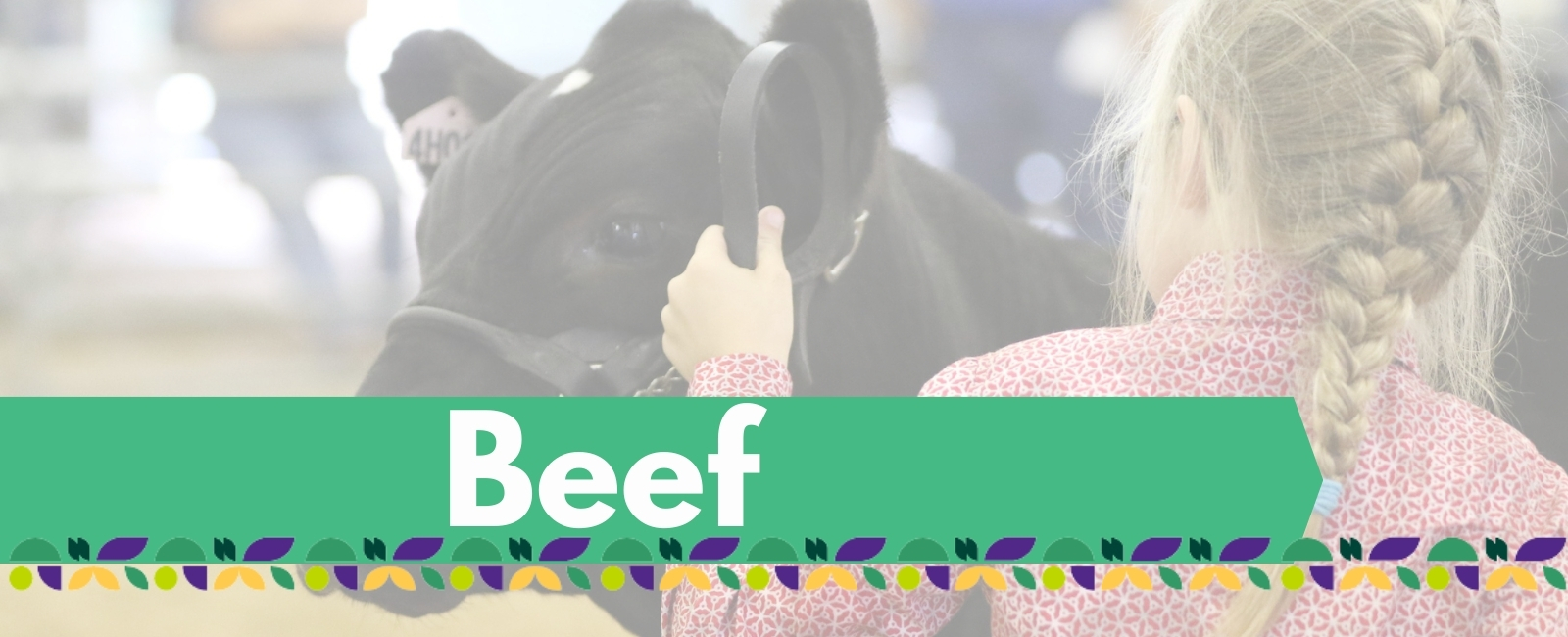 Beef-Project-Banner-with-Text